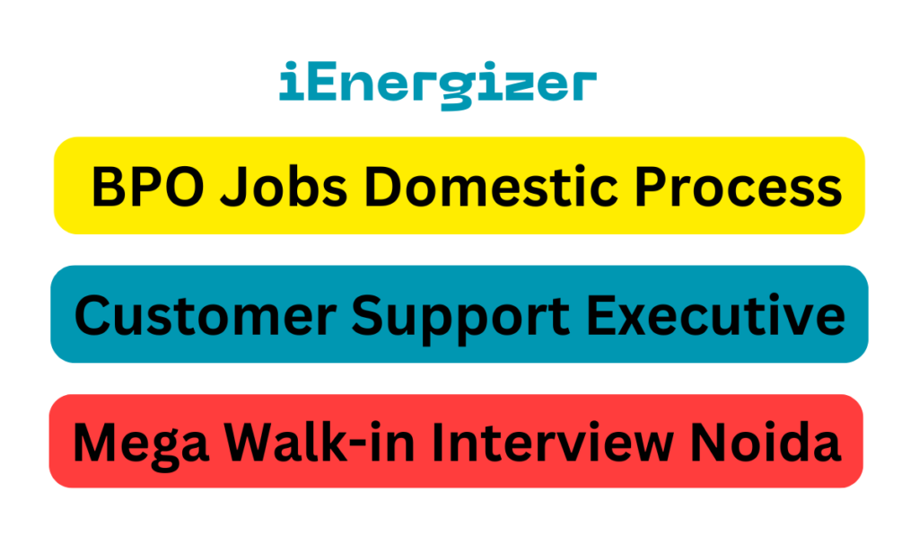 iEnergizer BPO Jobs Domestic Process